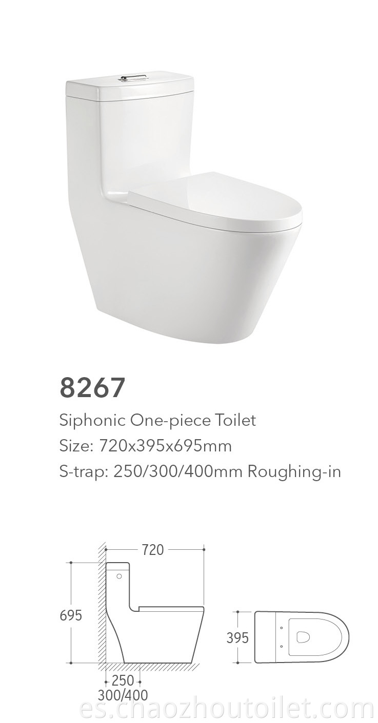 8267 One Piece Toilet